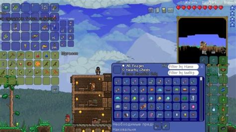 terraria navegador.